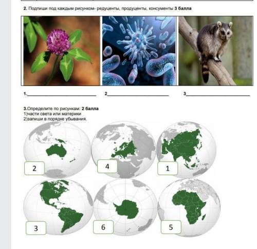 1)Подпиши под каждым рисунком редуценты, продуцентры, консумнты 2)определи по рисункам 1)часть света