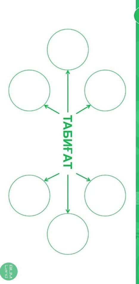 Табиғат сөзіне кластер құрып жазыңдар (Составьте кластер на слово Табиғат​