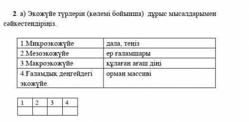 2. а) Экожүйе түрлерін (көлемі бойынша) дұрыс мысалдарымен сәйкестендіріңіз. 1.Микроэкожүйе дала, те