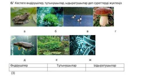 БЖБ жаратылыстану 6 класс 4 тоқсан жаратылыстану