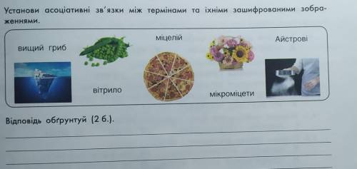 Установи асоціативні зв'язки між термінами та їхніми зашифрований зображеннями​