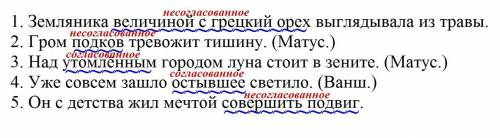 Подчеркнуть определения.УКАЗАТЬ соглс. и несоглс. определения. 1. Земляника величиной с грецкий орех