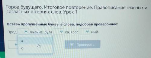 Город будущего. Итоговое повторение. Правописание гласных и согласных в корнях слов. Урок 1Вставь пр