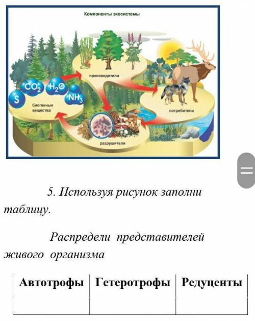 5. Используя рисунок заполни таблицу. Распредели представителей живого организма Автотрофы Гетеротро