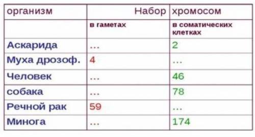 Опредили количество храмосом в саматических и половых клетках ​