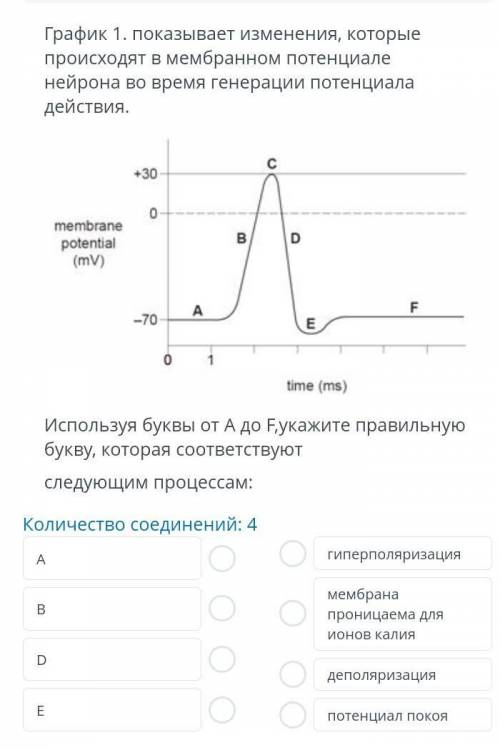 график 1 показывает изменения, которые происходят в мембранном потенциале нейрона во время генерации