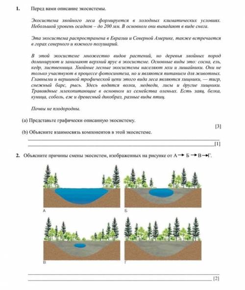 Объясните взаимосвязь компонентов экосистемы хвойного леса и по возможности второе задание можно ​