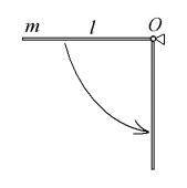 Тонкий однородный стержень массы m и длины l может вращаться в вертикальной плоскости вокруг горизон