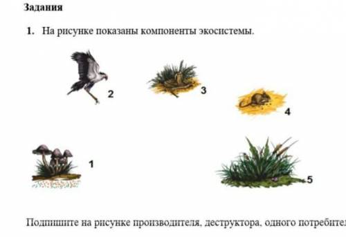 Подпишите на рисунке производителя, деструктора, одного потребителя.​