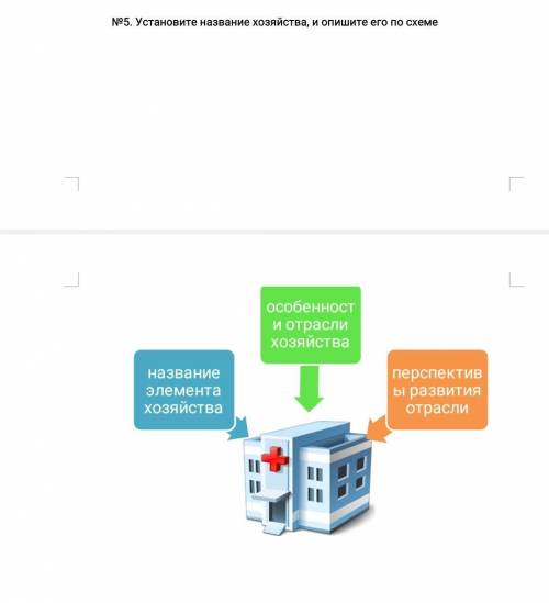 №5. Установите название хозяйства, и опишите его по схеме