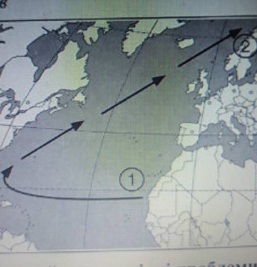 Тропічні теплі води Атлантичного океану переносяться на північ і значно пом'якшуюты клімат Європи. У