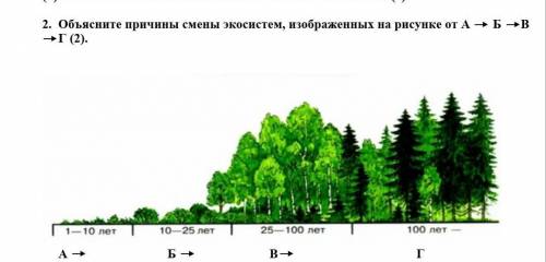 2.)Объясните причины смены экосистем,изображенных на рисунке от А-Б-В-Г ​