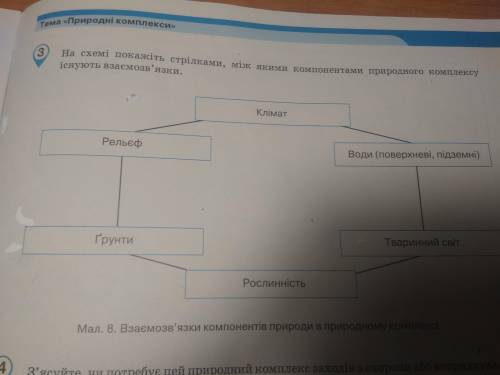 На схемі покажіть стрілками між якими компонентами природного комплексу існують взаємозв'язки