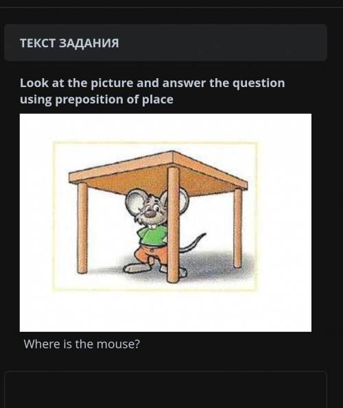 Look at the pictures and answer questions using preposition of plase. Where is the mouse ​