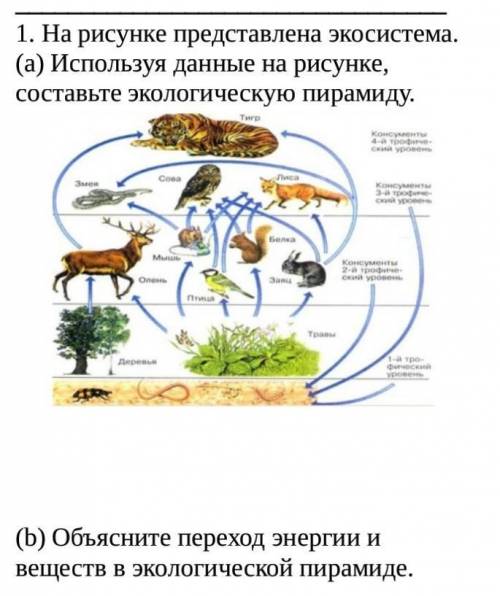 А) используя данные на рисунке составте экологическую пирамиду Б) Объясните переход энергии и вещест