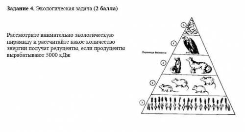 Рассмотрите внимательно экологическую пирамиду и рассчитайте какое количество энергии получат редуце