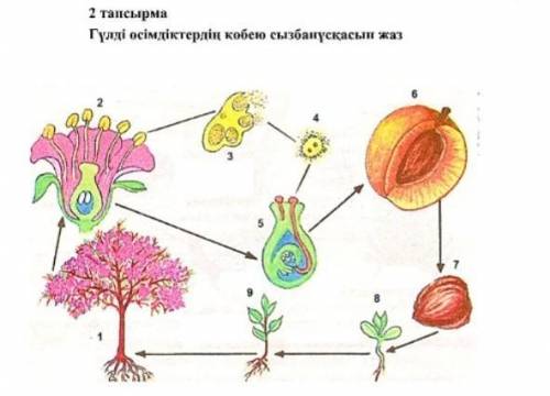 решить биологию на казахском? ​