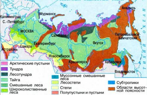 Какая природная зона формируется к северу от тайги? 1.степь 2.лесотундра 3.смешанные леса 4.пустыня