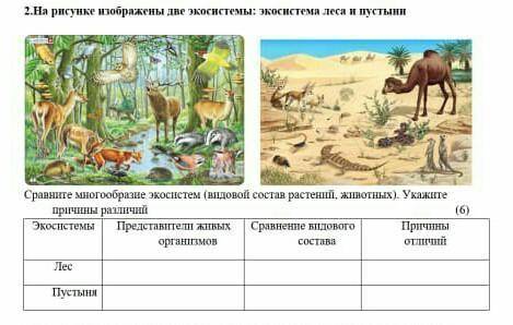 На рисунке изображены две экосистемы экосистема леса и пустынию ​