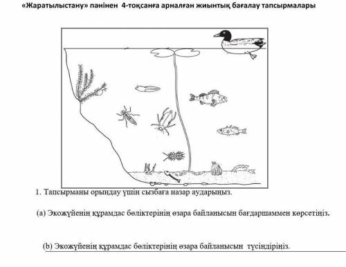 Тапсырманы орындау үшін сызбаға назар аударыңыз. Экожүйенің құрамдас бөліктерінің өзара байланысын б