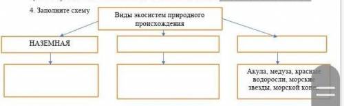 Соч по естество знанию 6 класс​