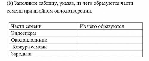 Заполните таблицу, указав, из чего образуются части семени при двойном оплодотворении. Части семени