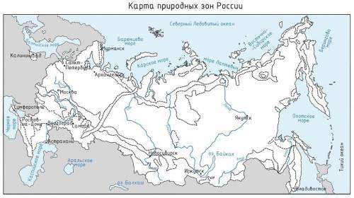 С карты природных зон России (учебник, с. 48-49) обозначьте на контурной карте зону тайги.Запишите о