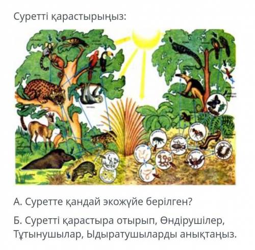 А. какая экосистема представлена на рисунке? Б. рассматривая картину, определите производителей, пот