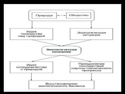 3. Изобрази в виде схемы проблемы, причины и последствия негативного воздействия человека на природу