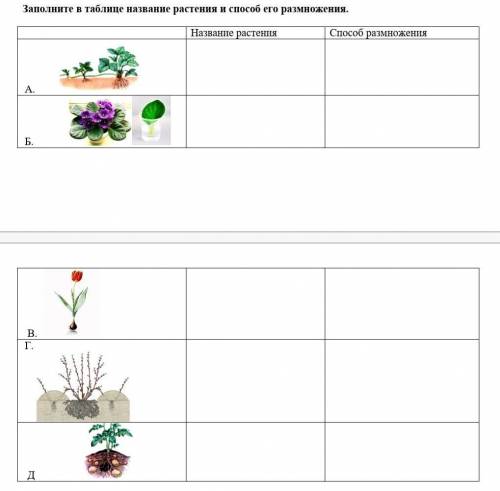 Заполните в таблице название растения и его размножения ​