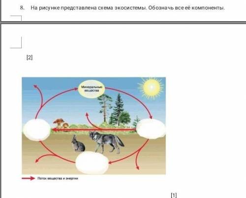 На рисунке представлена схема экосистемы . обозначь все ее компоненты ​