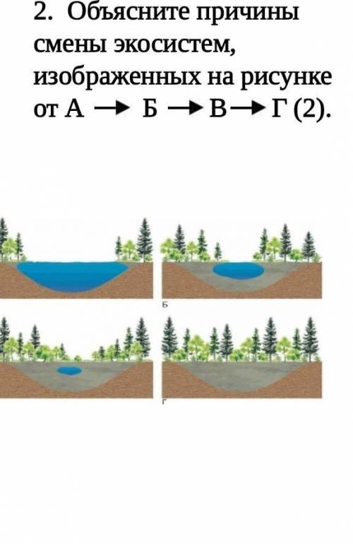 Почвы не плодородны. (а) Представьте графически описанную экосистему (3).(b) Объясните взаимосвязь к
