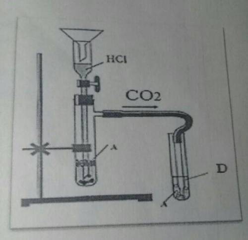 На рисунке показано устройство для производства и обнаружения углекислого газа в лаборатории. Если к