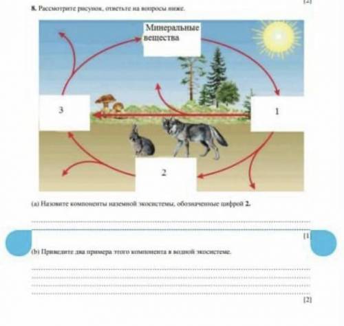 A) Назовите компоненты наземной экосистемы, обозначенные цифрой 2. (b) Приведите два примера этого к