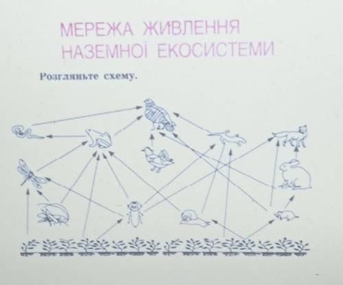 Мережа живлення наземної екосиситеми.До іть зробити треба не тільки найти помилку а й описати чому в