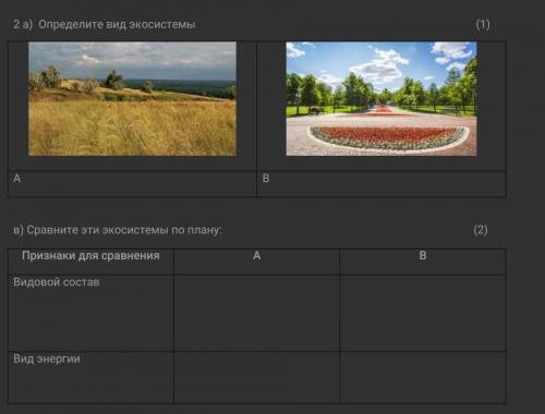 2 а) Определите вид экосистемы (1)ABв) Сравните эти экосистемы по плану: (2)Признаки для сравненияАВ
