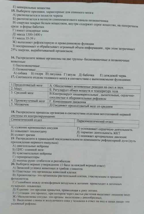 Контрольный срез по биологии за курс 7 класса . 2 вариант . Задания с выбором одного варианта ответа