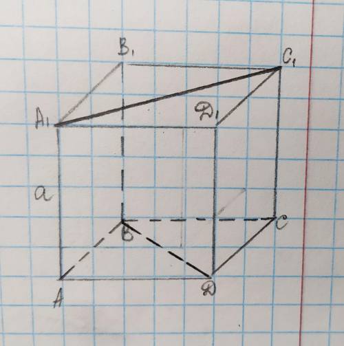 Ребро куба ABCDA1B1C1D1 дорівнює а; знайдіть відстань між прямими А1С1 і ВD