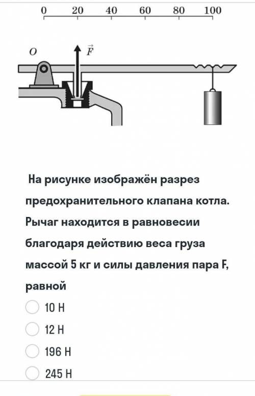 Сделайте это в ответе укажите верный ответ ​