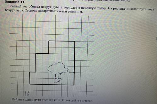 Ученый кот обошел вокруг дуба и вернулся в исходную точку. На рисунке (в прикрепленном файле) показа