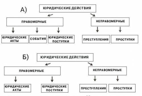 Проанализируйте приведëнные схемы: 1) какая является правильной?2) обоснуйте свою точку зрения, раск