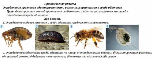 Здравствуйте с домашней практической по биологии.