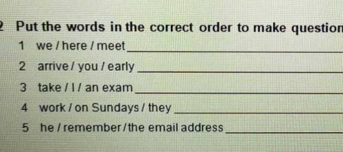 Pot the words in the correct to make questions. Use the intorgeam form or have to​