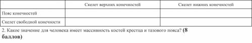 1. Заполните таблицу: опишите строение скелета верхних и нижних конечностей