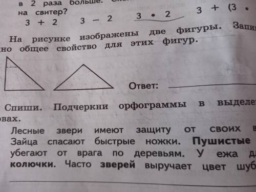 На рисунке изобрадены две фигуры.Запиши одно общее свойство для этих фигур.