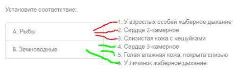 1) Из чего состоит нервная система рыб? 2) Чем питается лягушка? 3) (на фото)