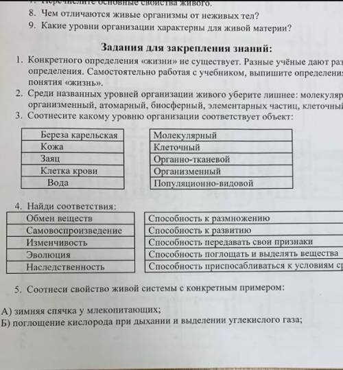 Соотнесите какому уровню организации соответствует объект