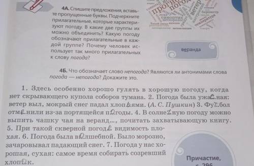 Вот только делать все что там написано упр 4а делать текстом 4б