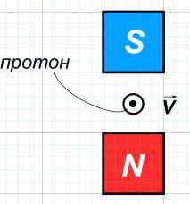 Протон пролетает между полюсами магнита (рис. 4) со скоростью 80 000 км/с. Индукция магнитного поля