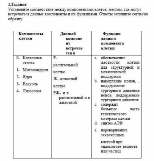 Установите соответствие между компонетами клеток, местом, где могут встречаться данные компоненты и